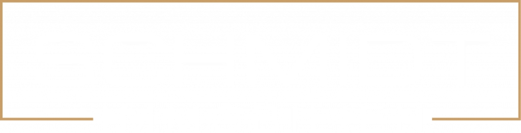 Schmidt Logo WHITE VOLVOX